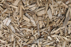 biomass boilers Littleworth Common